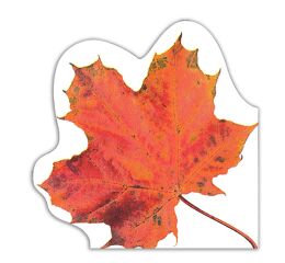 Ubrousky MAKI R (12ks) Autumn Leaf